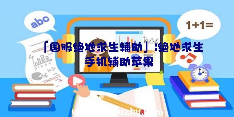 「国服绝地求生辅助」|绝地求生